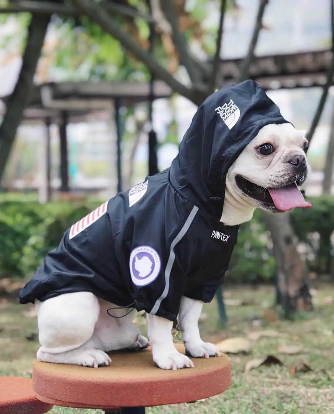 Модная одежда для собак Adidog Французский бульдог Pupreme рубашка ветровка для собак Спорт ретро для собак Толстовка с капюшоном Домашние животные одежда S-XXXL