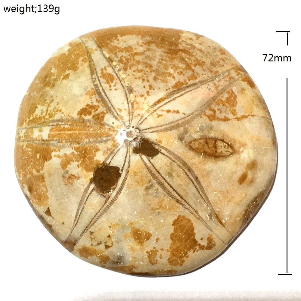 Образец природного кристалла в виде морской звезды - Цвет: 7
