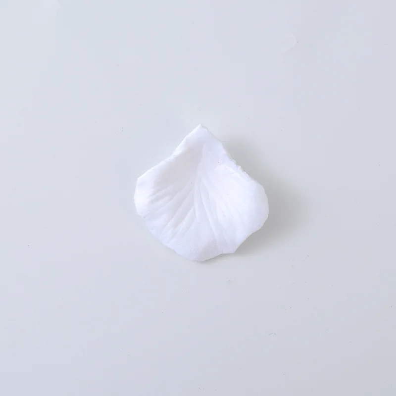 11700021429_405463345