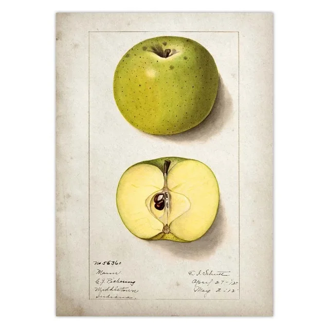 Fruit-Kitchen-Poster-Vintage-Poster-Antique-Pear-Apple-Orange-Pineapple-Wall-Art-Decorative-Picture-Kraft-paper.jpg_.webp_640x640 (6)
