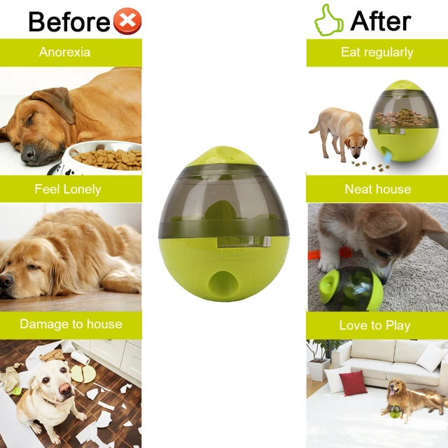 Pet Zone IQ Treat Ball Dog Treat Dispenser Toy Ball Interactive Dog Toy -  3 Dog Food Toy Stimulation, Slow Feeder