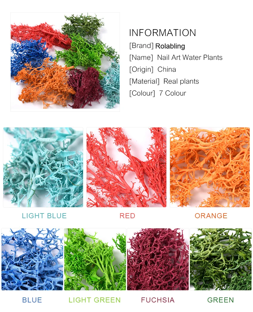 H651f49acc1334e208fc22f7f716ae9c0f