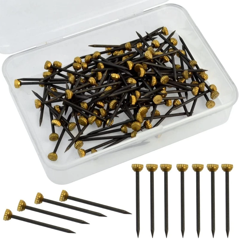 Picture Hanging Nails Black Brass Head Pins with Plastic Storage Box Frame Wall | Обустройство дома