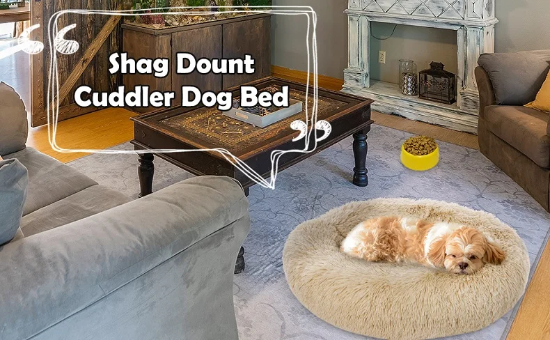 b7ba95f1-9c41-4a0b-a8d3-5185b83323b9.__CR0,0,970,600_PT0_SX970_V1___