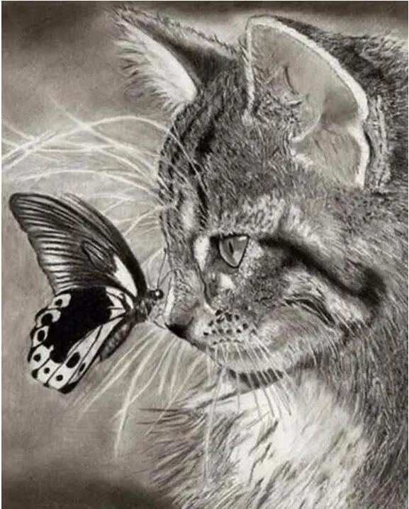 

5D DIY Diamond Embroidered Painting Kitten, Sunset Diamond Mural Home Decoration