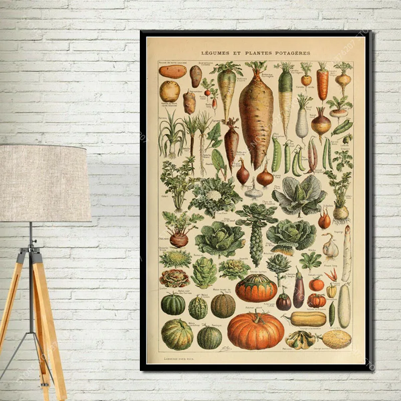 G034 Art Decor Botanical Vegetable Fruit Illustration Vintage Chart Science Wall Art Canvas Painting Silk Poster - Цвет: Picture 11