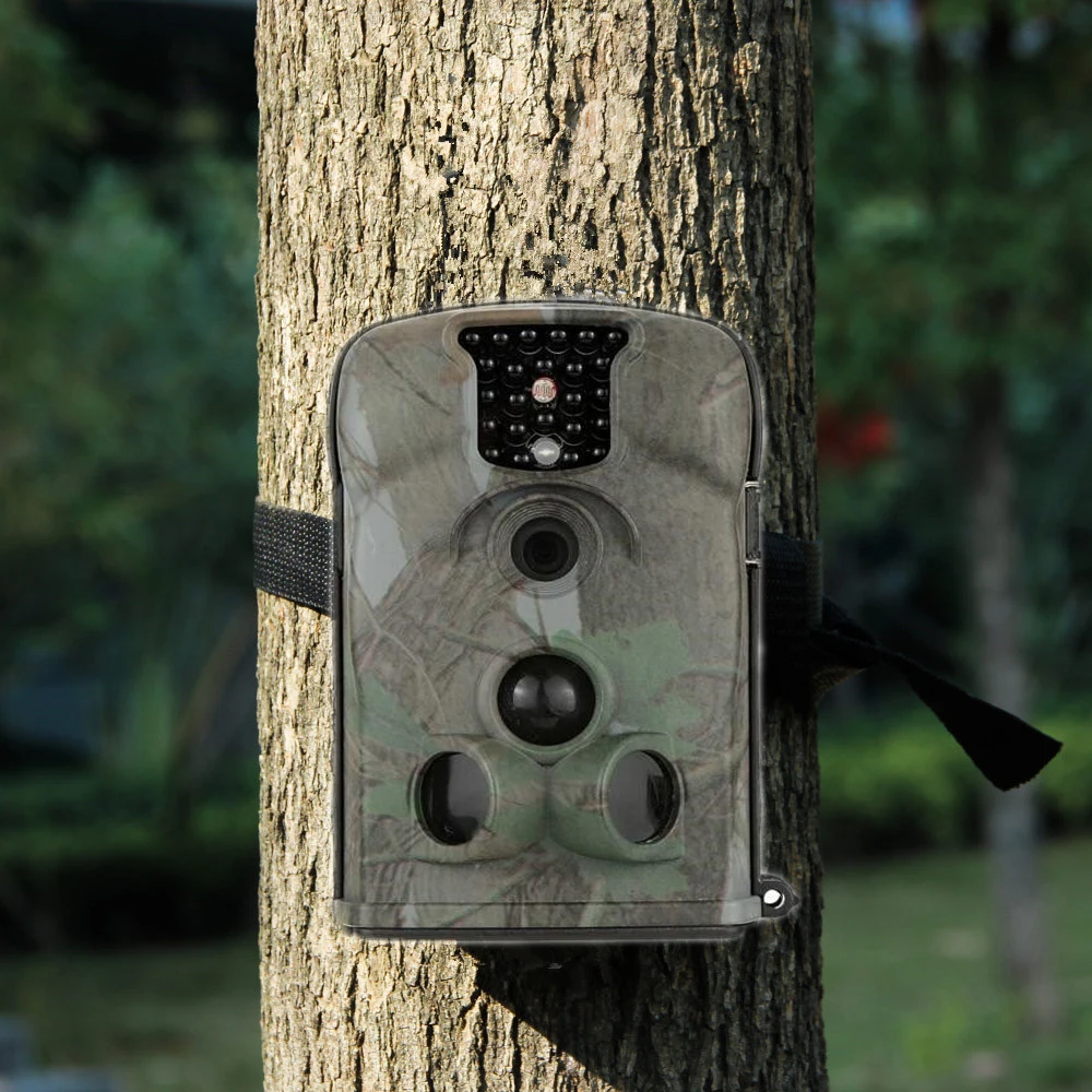 Цифровая камера для охоты, литов, желудь, дикая природа, Trail, фото ловушка