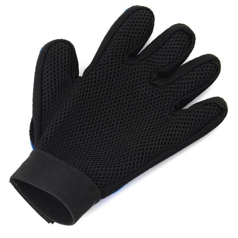 11356153412_284880646