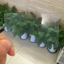 500 шт/партия) Высокое качество CR80 ПВХ пластиковые пустые прозрачные визитные карточки