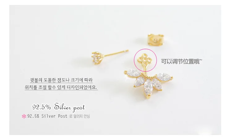 4106231253_2134633890