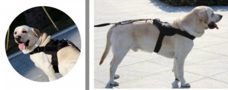 Тактический Жилет для собак охотничья одежда для собак 1000D нейлон в стиле армии полиции жилет для домашних животных военная облегченная модульная система переноски снаряжения тренировочный жгут для обслуживания собаки