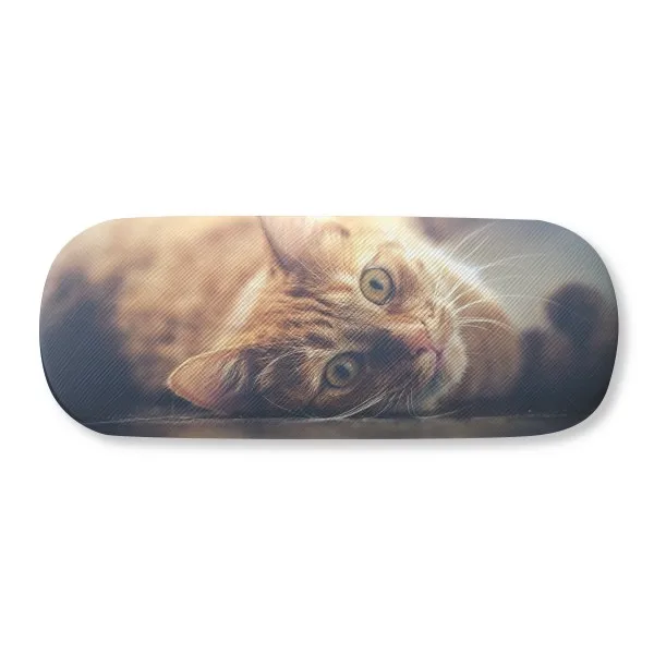 

Animal Yellow Cat Photograph Picture Glasses Case Eyeglasses Clam Shell Holder Storage Box