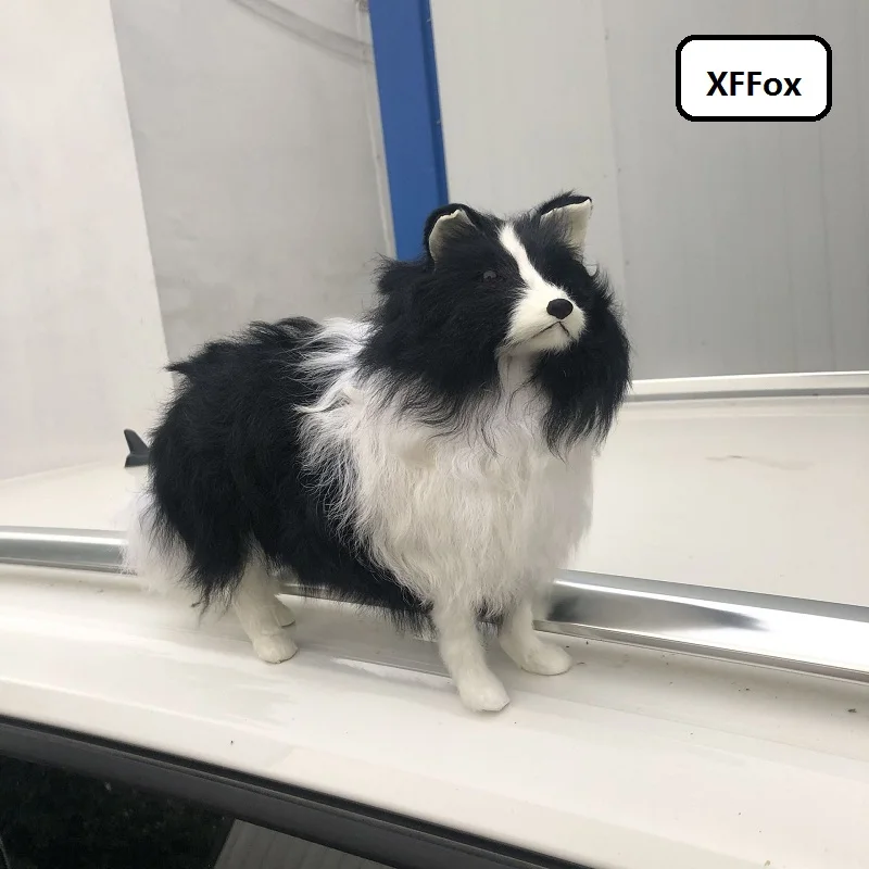 11770266340_1713678189