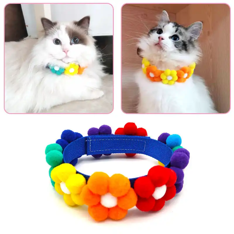 新猫首輪フラワー虹調節可能なかわいいキティ首輪安全バックル子猫猫のための子犬 Cat Collars Leads Aliexpress