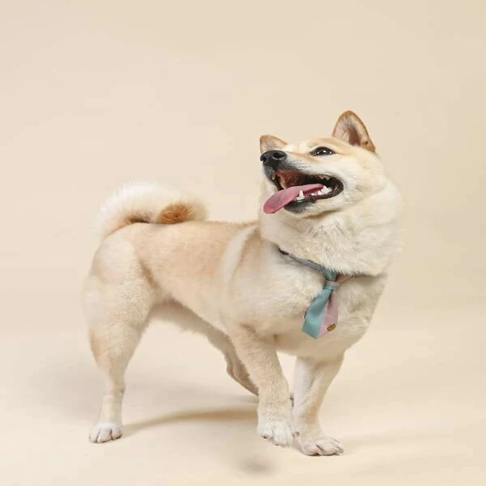 

Miflame Fashion Dog Tie Adjustable Dog Bow Tie For Pet Accessories Handsome French Bulldog Labrador Tie Cute Dog Accessories