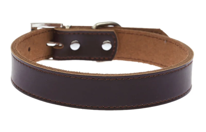 small dog collar