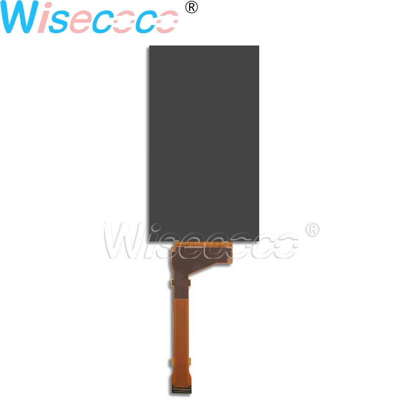 Wisecoco 5.5 inch monochrome LCD screen high