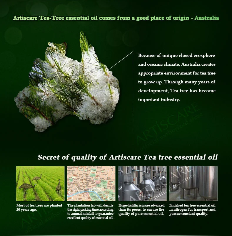 tea_tree_5