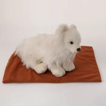 

Safe Heated Warmer Bed Pad for Dog Cat/Reptile Pet Brown Give Your Pet a Sweet Sleep