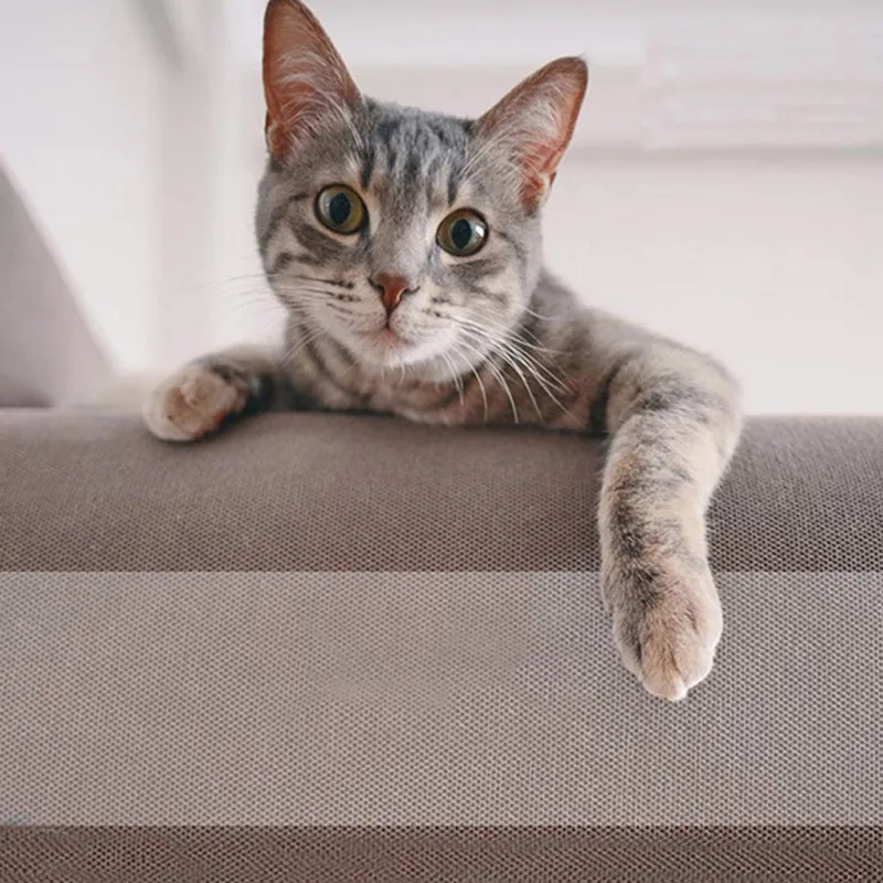 3/5M диван гвардии в виде кошачьей лапки протектор собственн-adhesie защитные накладки кошка Анти-Царапины диван лента для мебели для обивки кожаное кресло
