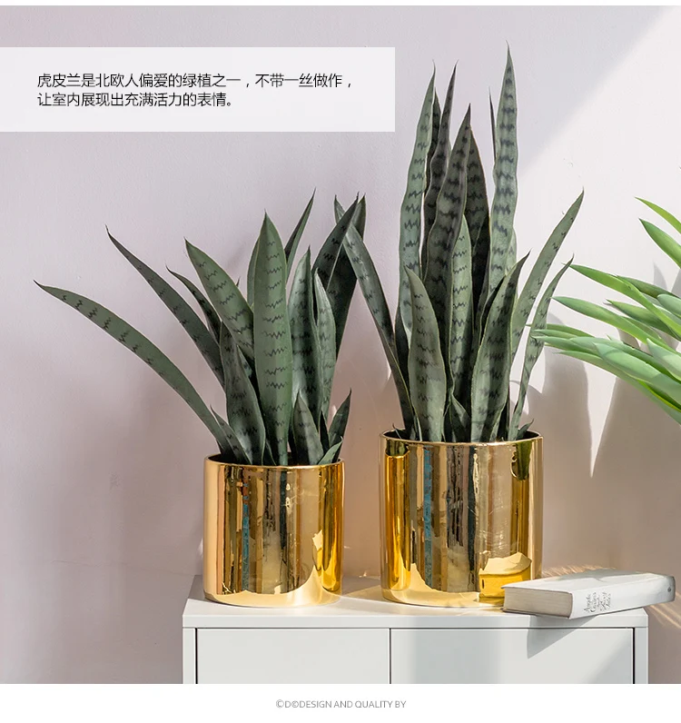 Цветок+ ваза Sansevieria trifasciata бонсай Тропическое растение зеленые суккуленты подарок украшение дома