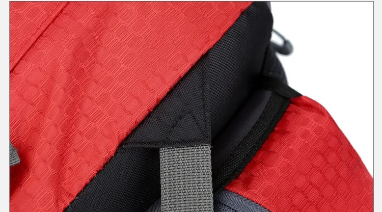 10452950248_421471669_看图王