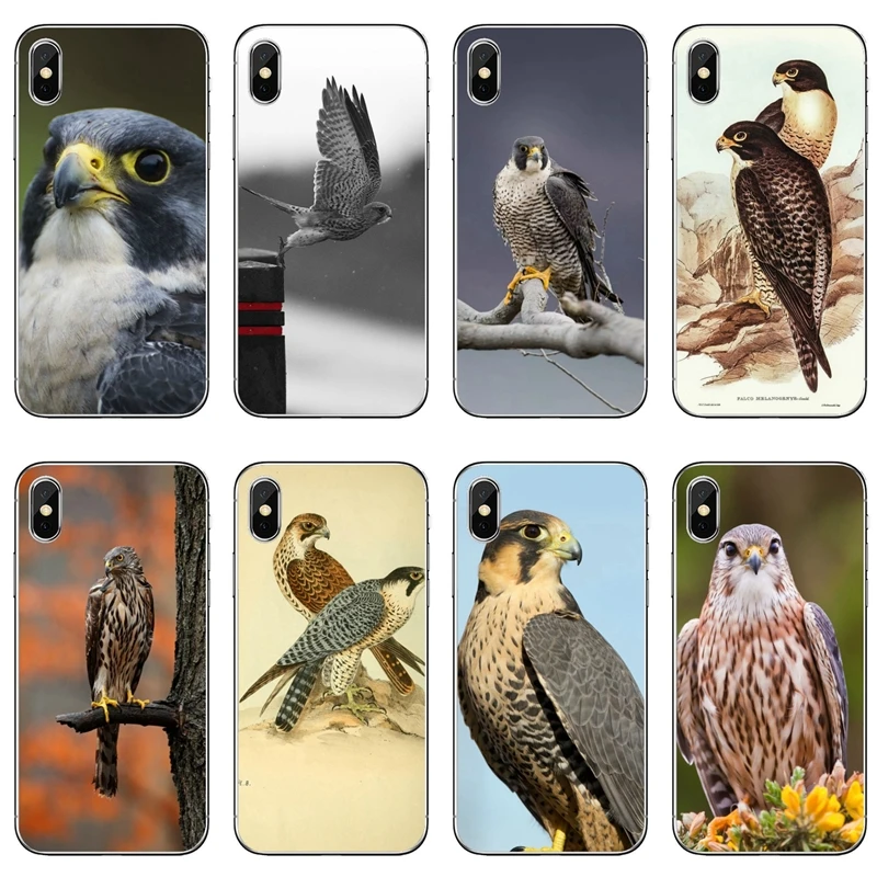 Чехол для телефона Peregrine Falcon bird Аксессуары Samsung Galaxy Note 20 10 9 8 S20 Ultra S10E S10 Lite S9 S8 Plus S7 S6