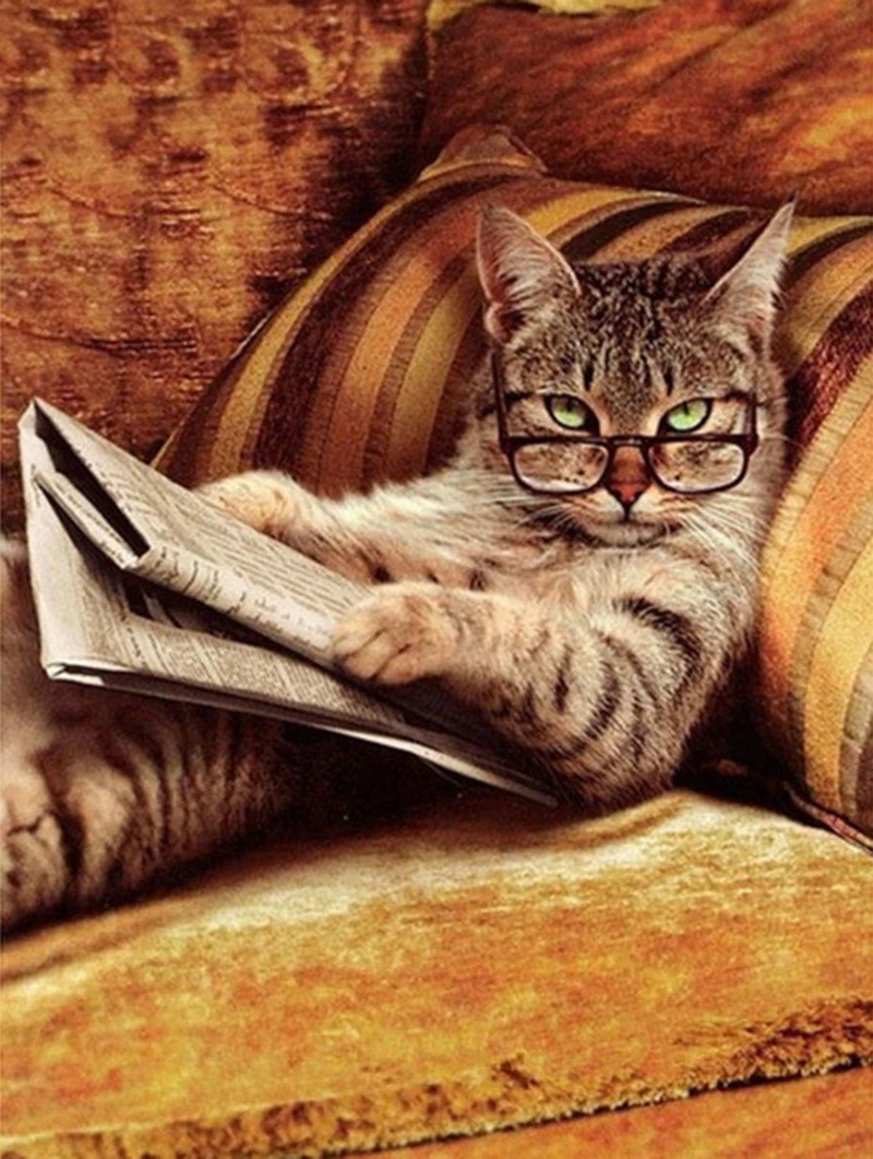 Полностью Алмазная 5D DIY книга для чтения кошек вышивка крестиком Стразы мозаика