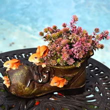 Растения декоративные садовые цветы открытый внутренний двор мультфильм мясистый цветок