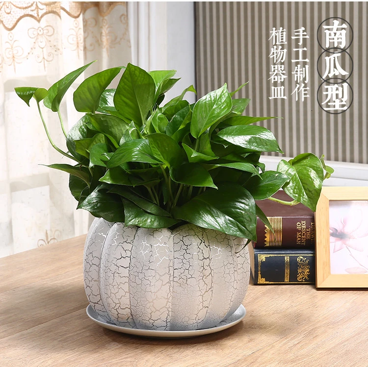 Green Luo Flowerpot Originality Household Tuba Oversize Indoor Orchid Flowerpot Ceramics Belt Tray Meatballs