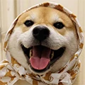 MILYPETS Store