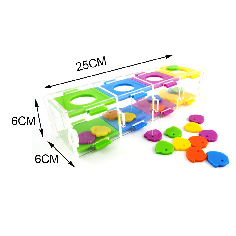 

Color Separate Bird Ring Interactive Parrot Toy Set Intelligence Training Small Development Pet Funny Toys Acrylic Dropshiiping