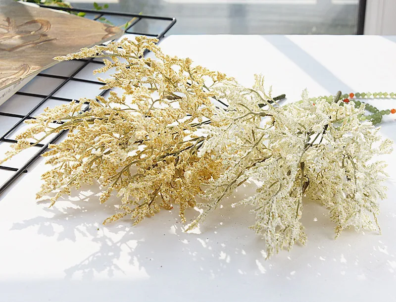 13301920692_874253957