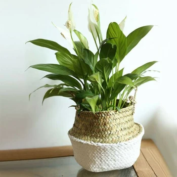 

Wicker Basket Flower Pot Folding Dirty Clothes Basket Storage Home Decoration Plant Flower Pot Covers Licingroom Decor