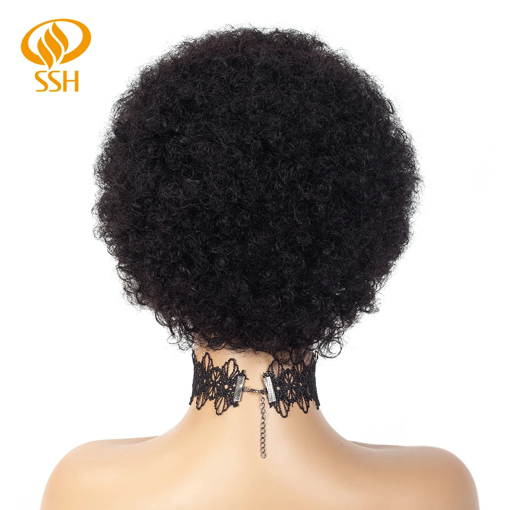 SSH Short Afro Kinky Curly Wig Brazilian Remy Human Hair Wigs For Black Women Black Brown Color Free Shipping
