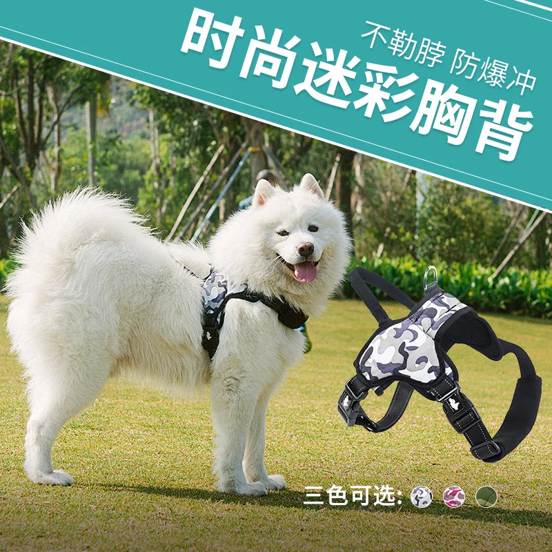 

Dog Harness Hand Holding Rope Dog Chain in Large Dogs Dog Leash Golden Collar Proof Punch Strap Pet Supplies