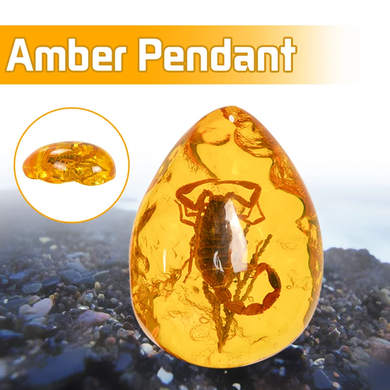 Ambre avec Insecte - Mer Baltique