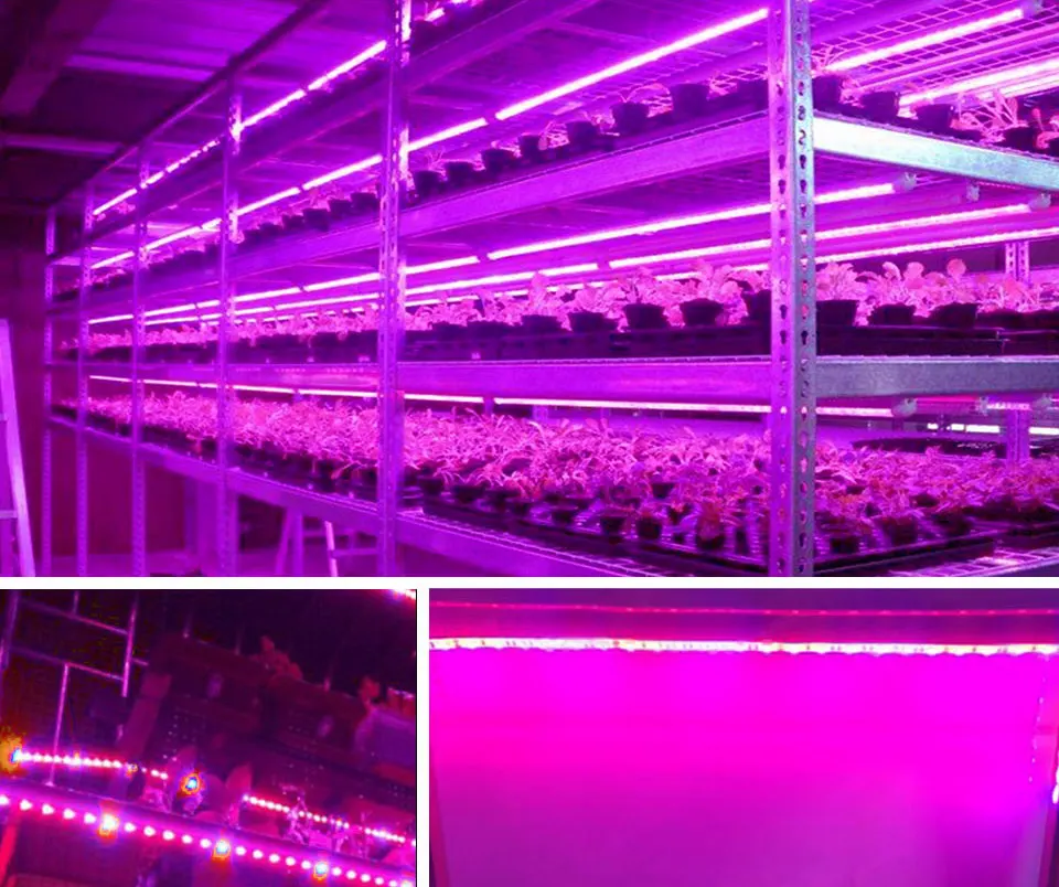 Светодиодный светильник для выращивания растений, 5 В, USB, 5 м, 2835, полный спектр, фитолампа для выращивания растений, для помещений, теплица, гидропонный светильник для выращивания растений, s