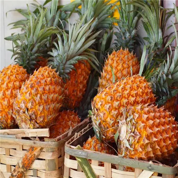 100 шт Ananas Comosus ананас бонсай Heirloom фруктовый сад бонсай сладкие сочные вкусные фруктовые горшечные растения DIY бонсай завод
