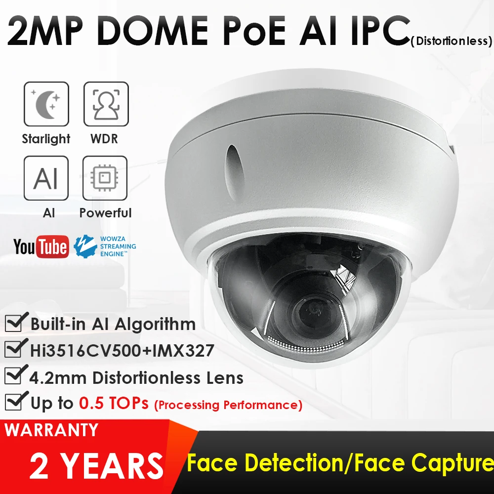 IP камера IK10 1080P МП HD PoE обнаружение лица|Камеры видеонаблюдения| |