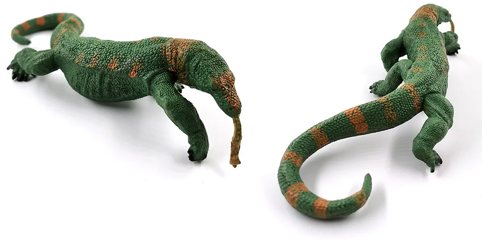 详情页-23款-黑冠猕猴-小树懒等_08