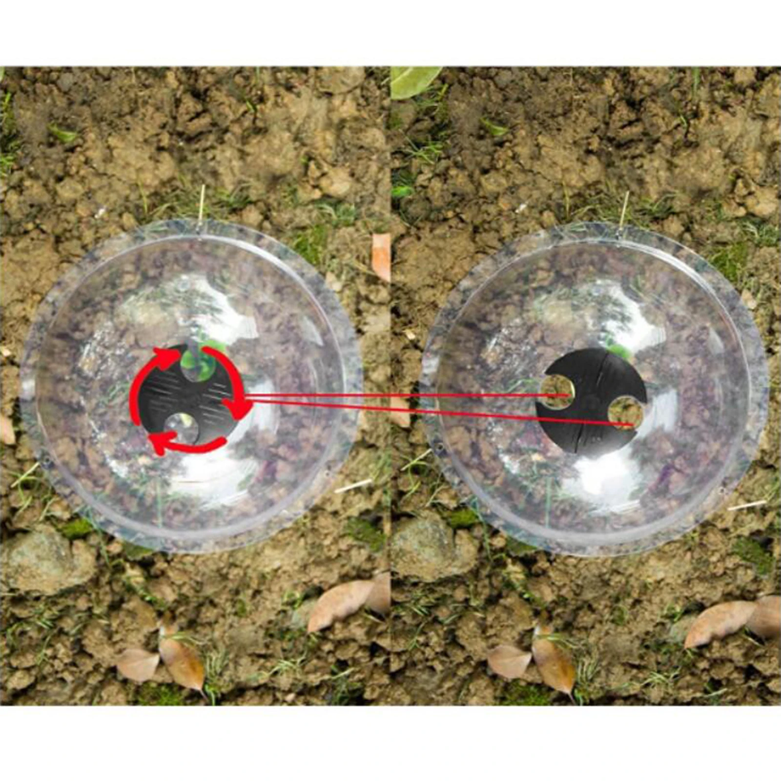 

6pcs Plastic Protective Plant Nursery Insulation Covers Frost Guard for Succulent Herbs Flowers Greenhouse