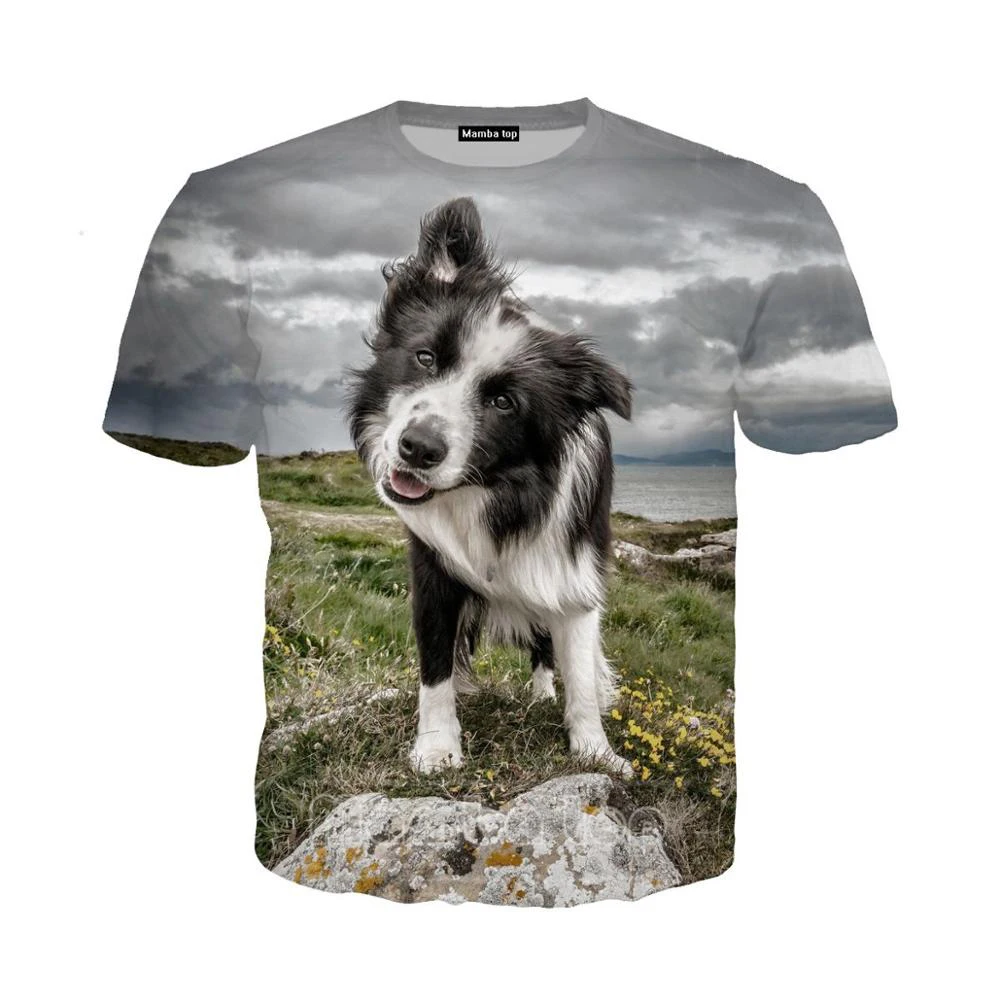 

Border Collie Dog Man's T-shirt 3D Clever Animal Tshirt O Neck T-shirt for men Cute Funny Tees Top Short Sleeve Women Pullover