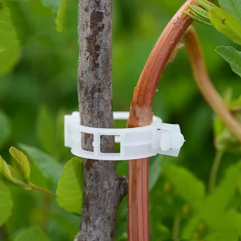 

50pcs 30mm Plastic Garden Plant Support Clips Durable Vines Vegetable Fastener for Types Plants Greenhouse Farming Clip