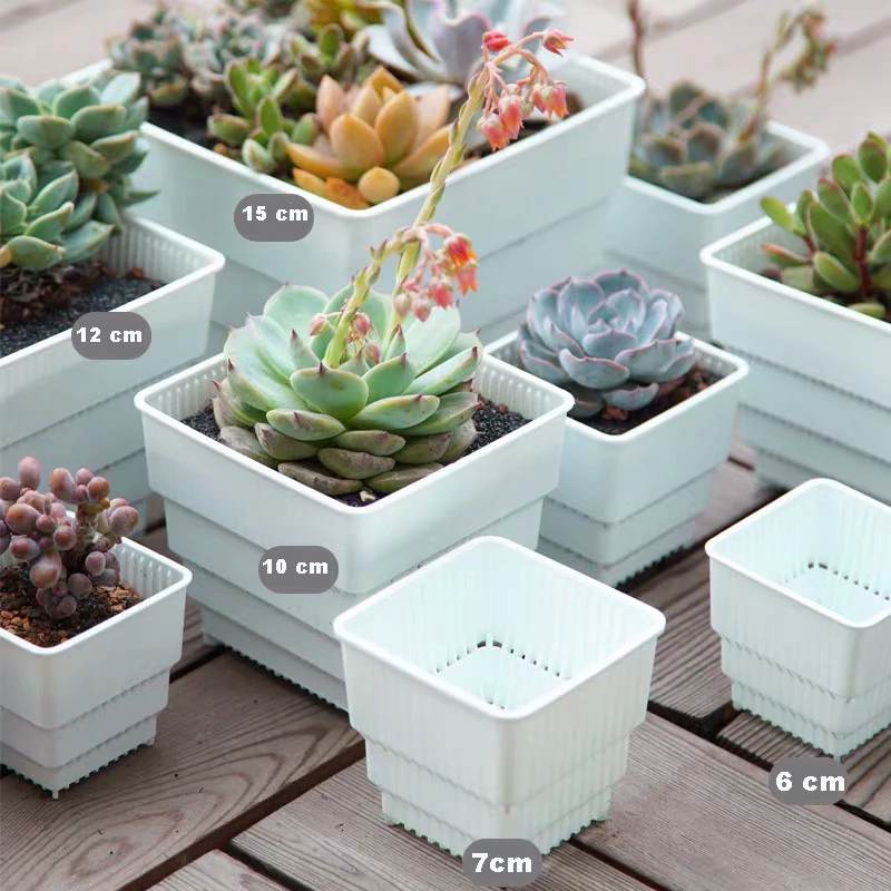 Meshpot Succulents Pot Plastic Flower Pot Planter Container Seedlings Nursery garden supplies air pruning pot with root control