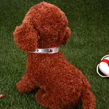 Домашний питомец с индивидуальной надписью собака кошка щенок горный хрусталь PU Ошейник Пояс поставка Bluetooth трекер Tracer переработанный ПЭТ