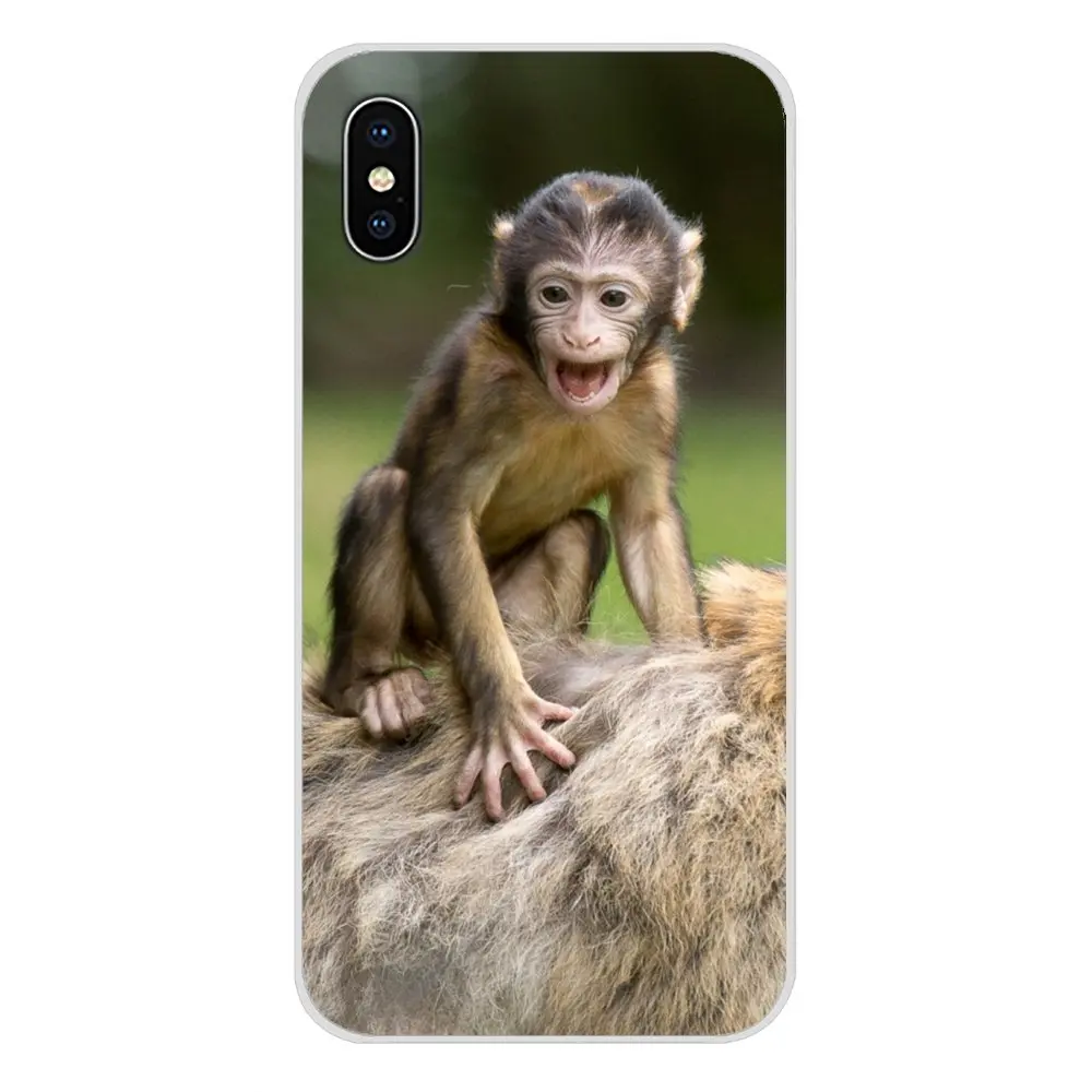 Для Apple IPhone X XR XS 11Pro MAX 4S 5s 5C SE 6S 7 8 Plus ipod touch 5 6 Аксессуары чехлы для телефонов Обезьяна горилла Ape Baby