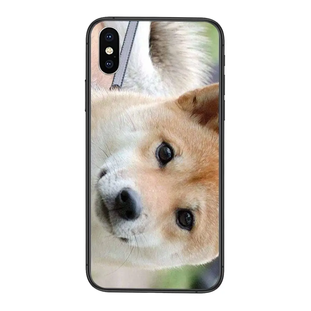 Cute Japanese Baby Shiba Inu Dog Design Tpu Phone Bags Case For Galaxy Note 10 9 8 Lite Pro Ultra M51 M31 M30s A10 A10s A8 Phone Case Covers Aliexpress Cute Japanese Baby Shiba Inu Dog Design Tpu Phone Bags Case For Galaxy Note 10 9 8 Lite Pro Ultra M51 M31 M30s A10 A10s A8 Phone Case Covers Aliexpress
