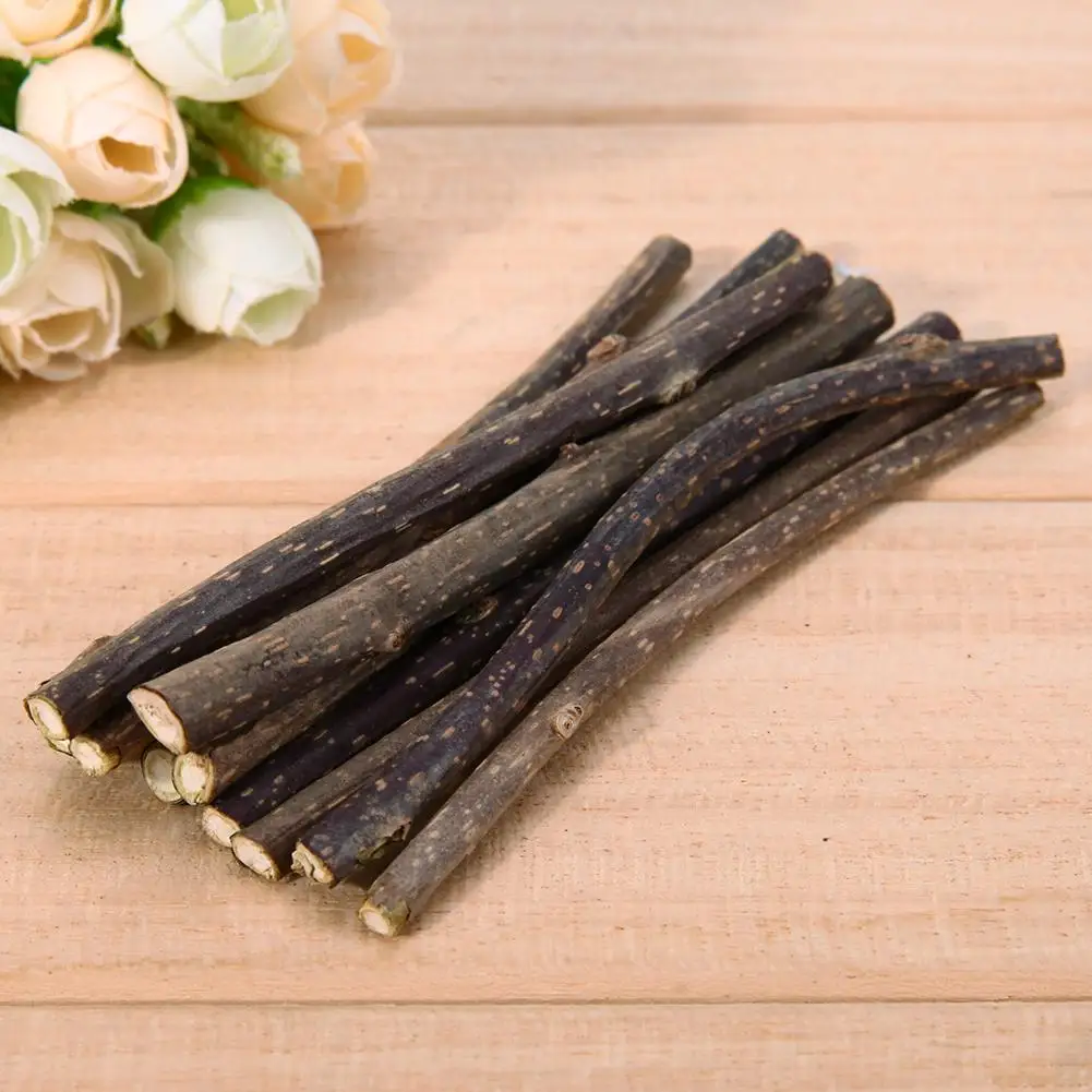 10/15/20 Pcs Cat Teeth Sticks Brushing Pure Natural Catnip Pet Cat Molar Toothpaste Stick Fruit Matatabi Cat Snacks Sticks