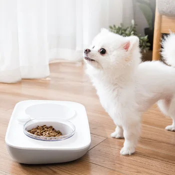 

Pet Automatic Water Ceramic Feeding and Drinking Bowls Pet Bowls Feeder Popular Cat Dog Combination Plastic Dishes for Dogs